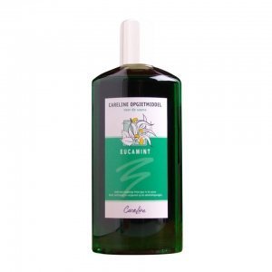 Eucamint Aufgussmittel 500 ml – Careline