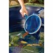 Kescher zum Entfernen von Blättern aus Poolwasser.