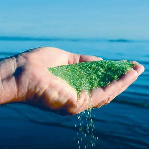 AFM NG Filterglas Grad 3 für Poolreinigung, 2,0-4,0 mm, 21 kg.
