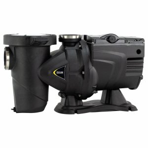 Poolpumpe DAB E-Swim 300 M für effiziente Wasserzirkulation.