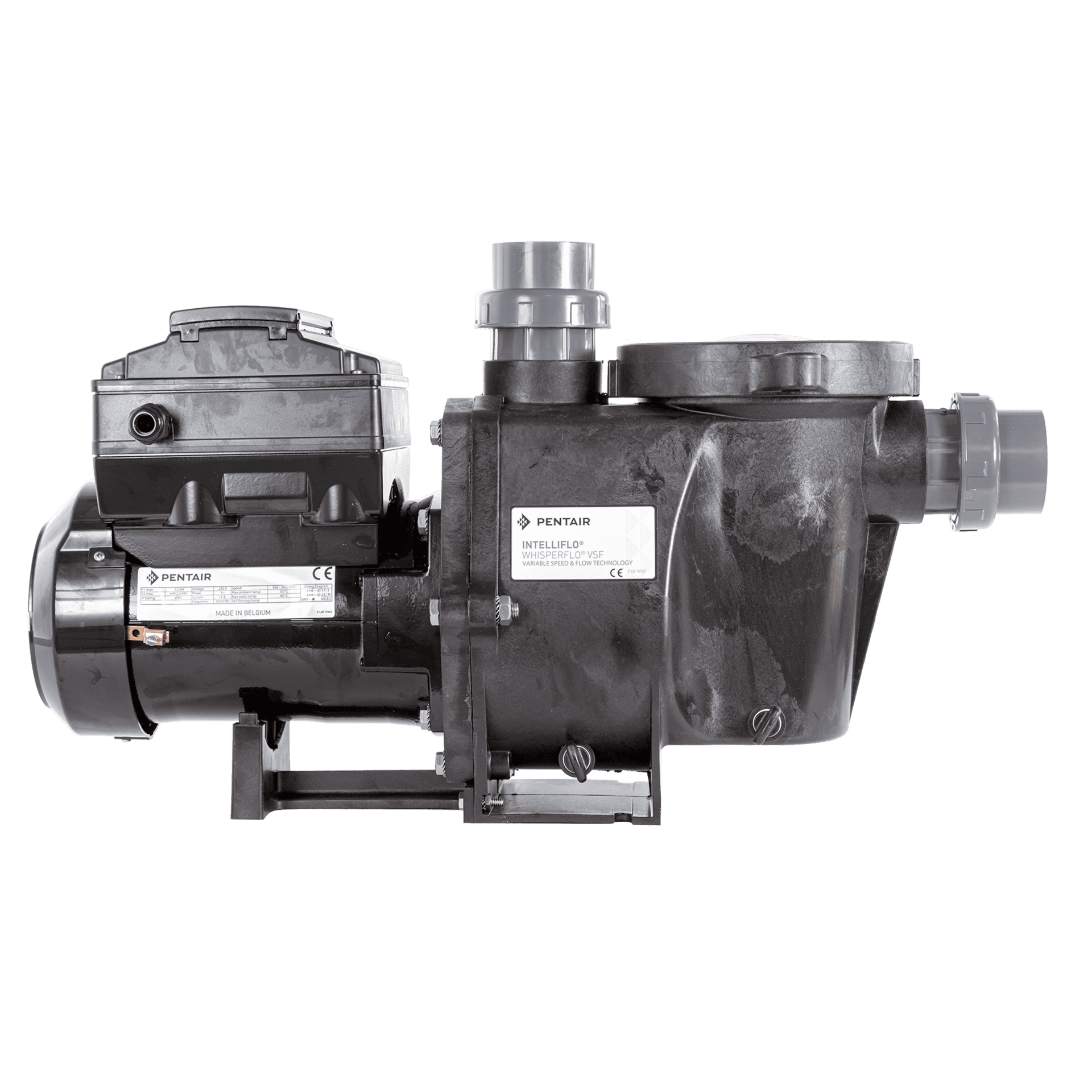 IntelliFlo WhisperFlo VSF variable Poolpumpe von Pentair für effiziente Wasserzirkulation.