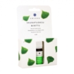 Sauna-Minzduft für Pool und Spa, 10 ml, Emendo.