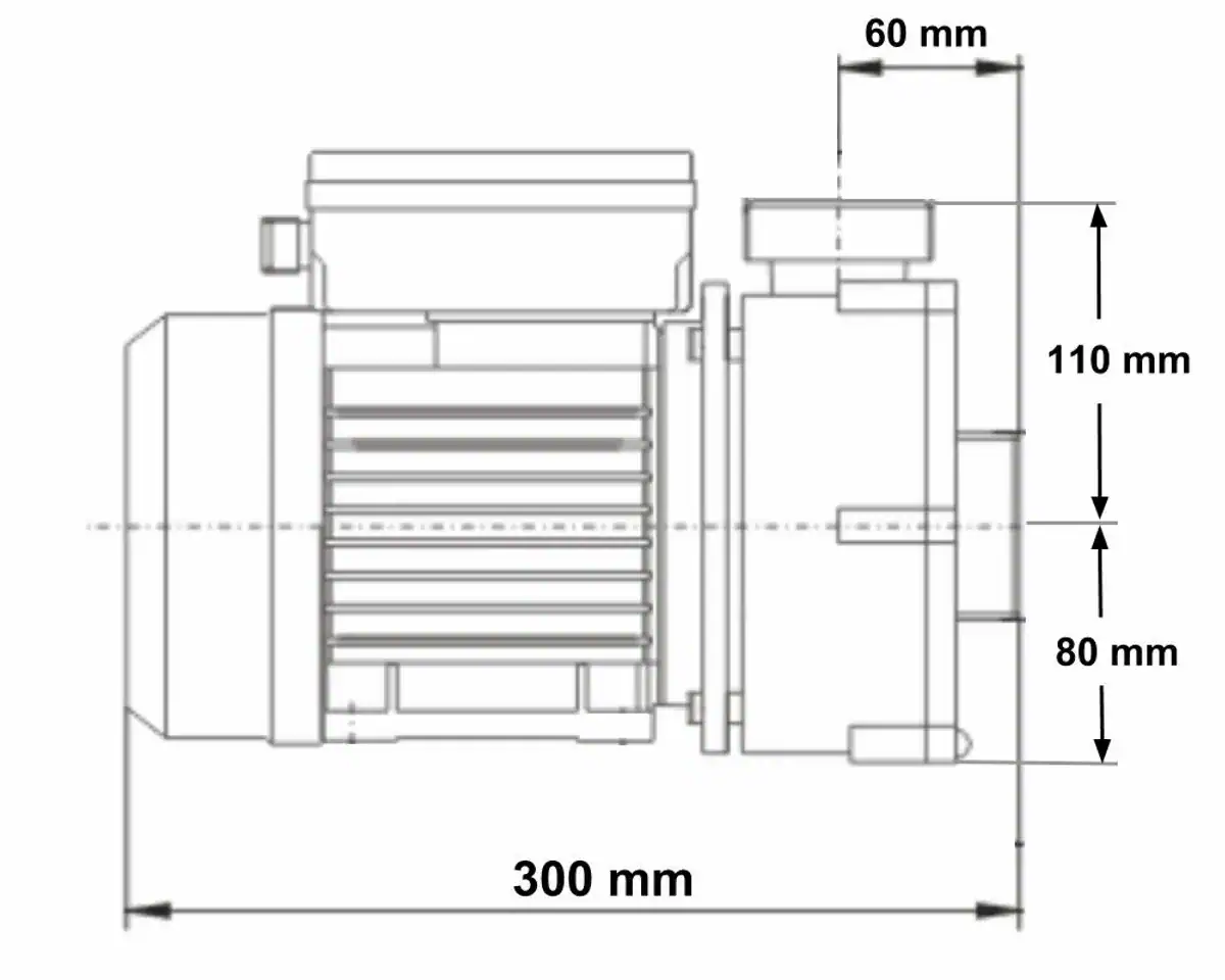 Umwälzpumpe für Spa mit 0,33 PS, kompaktes Design, 300 mm lang.