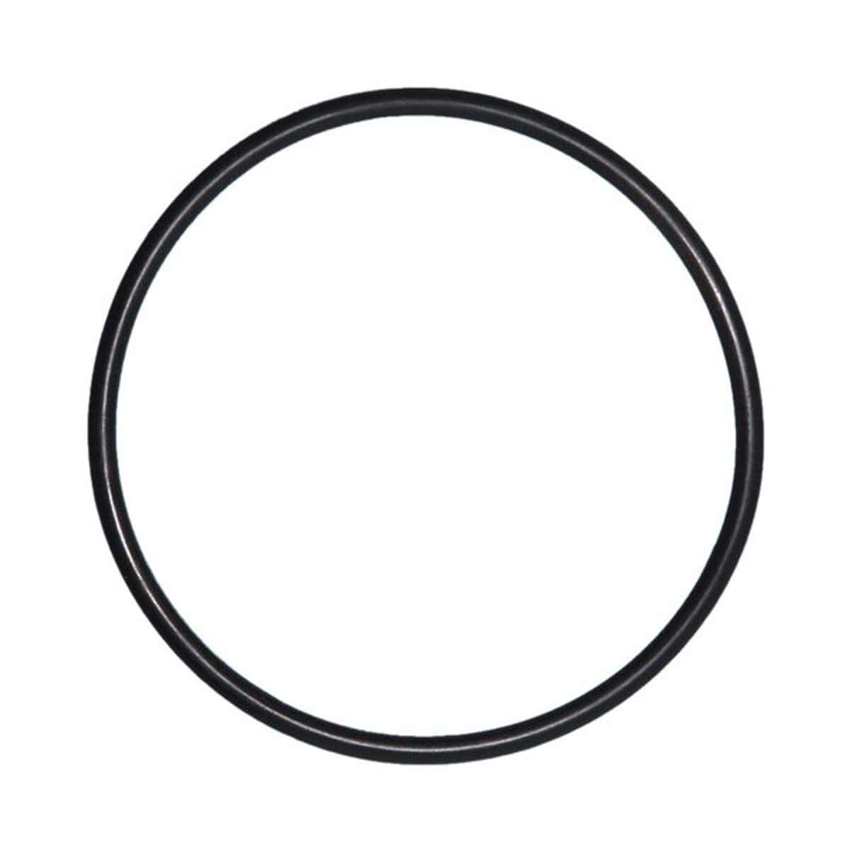 Schwarzer Gummi-O-Ring für Poolzubehör und Reparaturen.