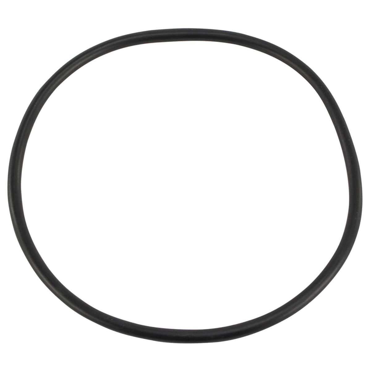 O-Ring für Filterdeckel Astral Cantabric Sandfilter