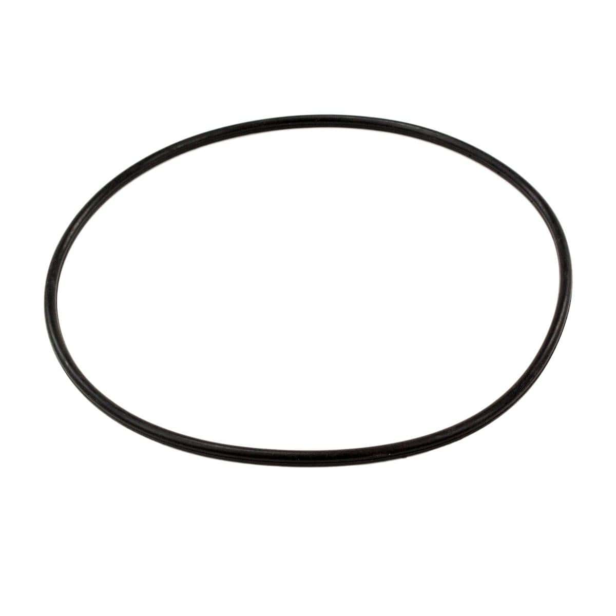 O-Ring für Mega Pool Poolpumpe