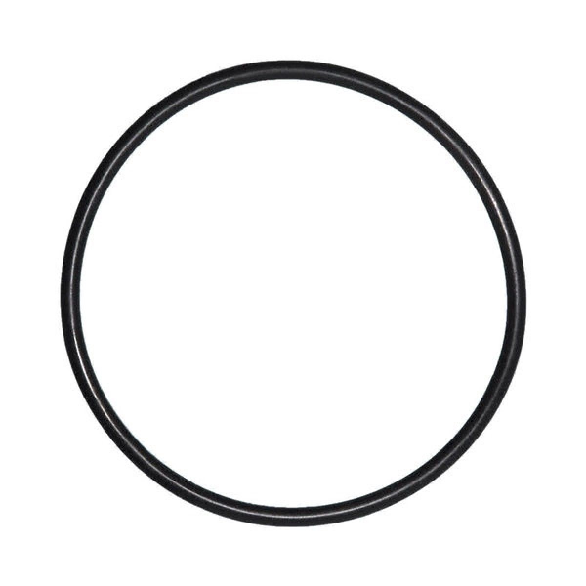 O-Ring für Deckel Pentair IntelliFlo Whisperflo Poolpumpe