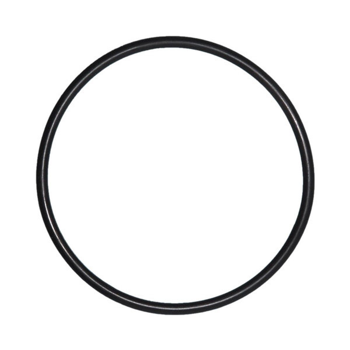 O-Ring für Kupplung Sta-Rite IntelliFlo 5PXF VSD Poolpumpe